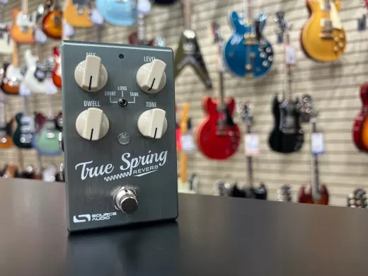 Source Audio SA247 True Spring Reverb